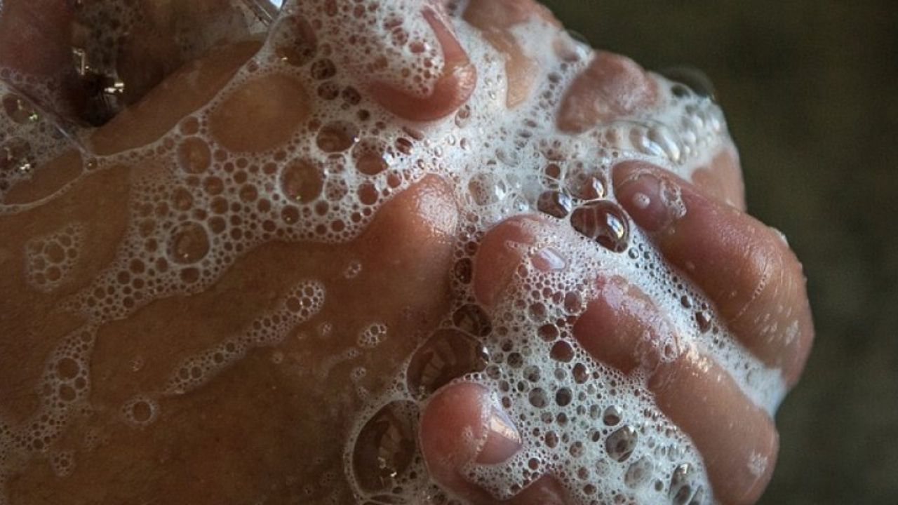 Epidemióloga hondureña explica los síntomas y recomendaciones ante detección de bacteria del cólera en Honduras
