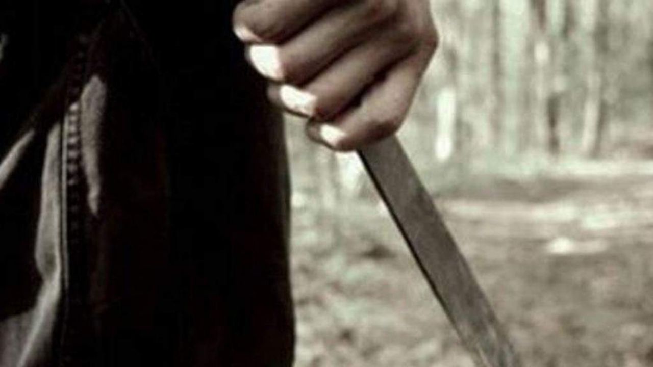 Hondureña fue atacada a machetazos supuestamente por su hermana y cuñado