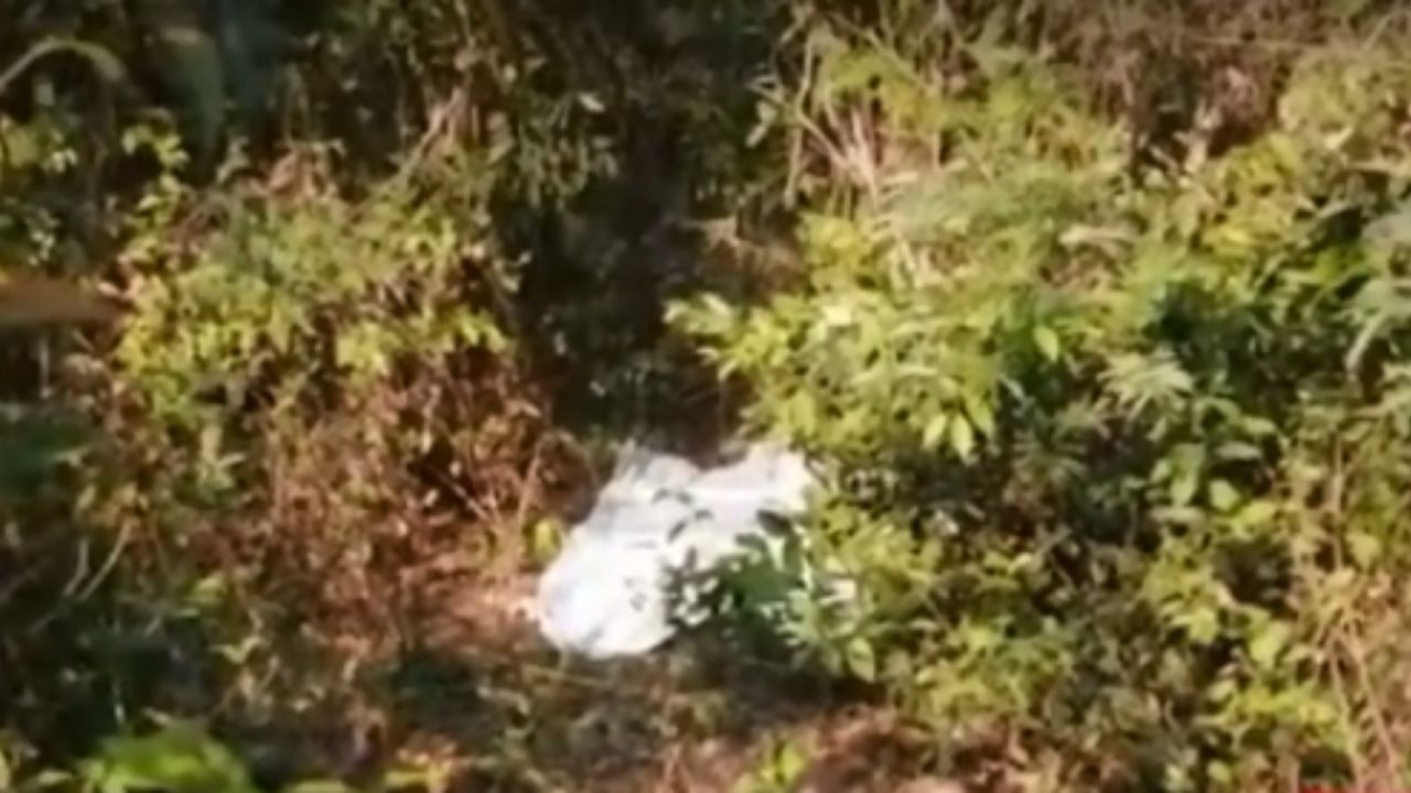 A machetazos, hondureño mata a su esposa y luego se quita la vida