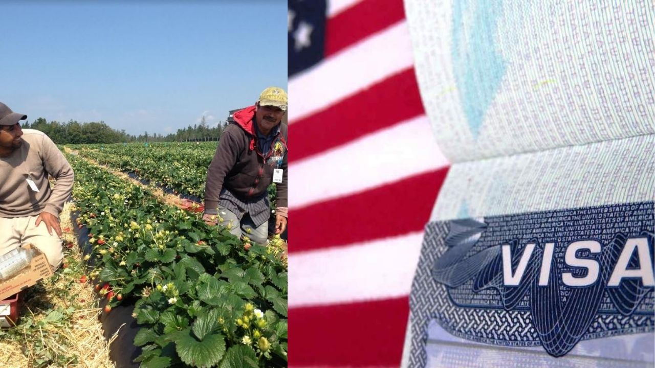 Hondureños que cumplan estos 5 requisitos podrán optar a una visa de trabajo en Estados Unidos