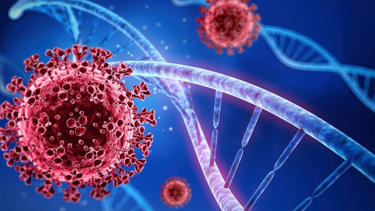 La OMS advierte que surgirá virus que será peor que el covid-19