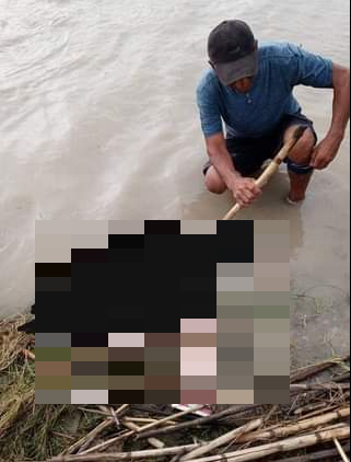 Imagen de cuerpo de nota