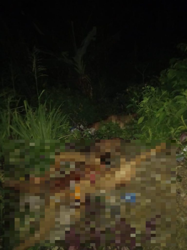 Imagen de cuerpo de nota