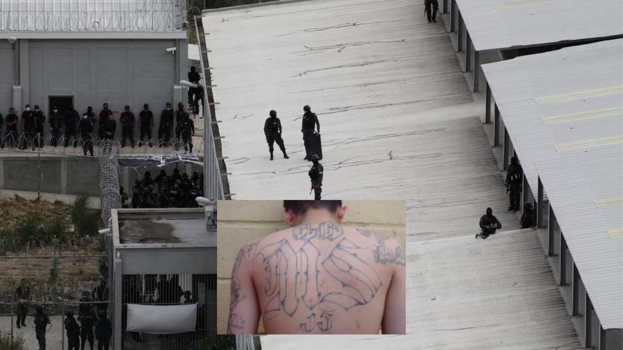 'Hay orden en la MS-13 de matar a sus mismos cabecillas en cárceles de máxima seguridad', revela jefe de la Policía Militar