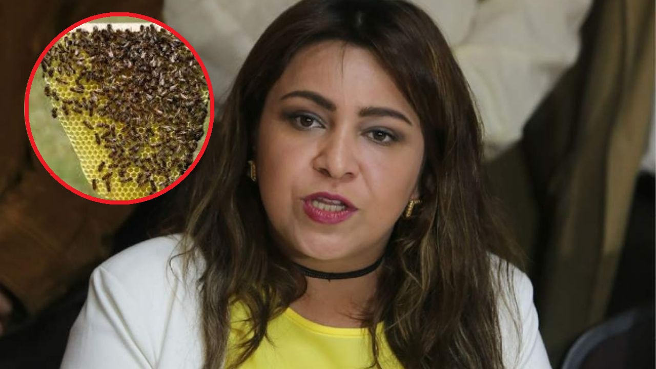 Marlene Alvarenga fue atacada por un enjambre de abejas y así le quedó el rostro