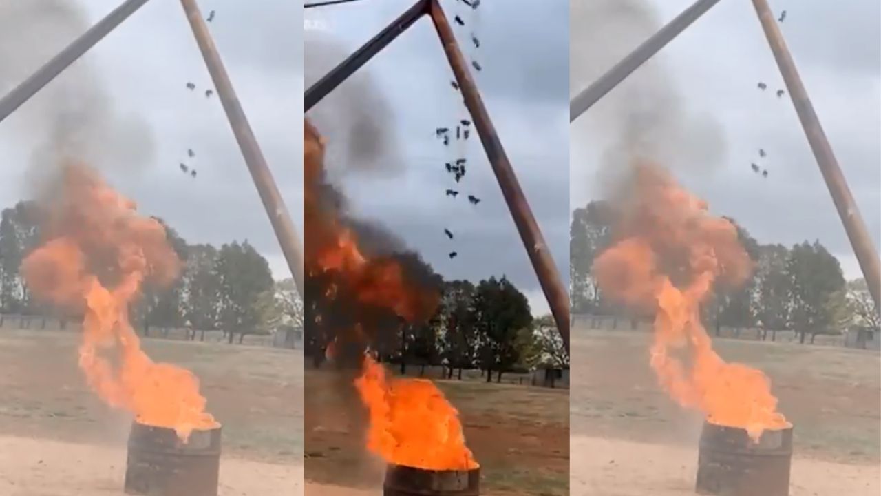 Granjero quema vivos a ratones, publica el cruel vídeo y le llueven críticas, estas son las crudas imágenes