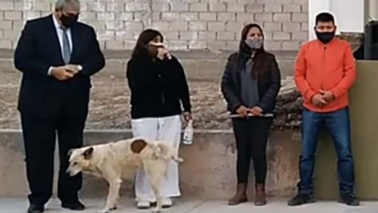 Perrito orinó a presidenta municipal de Argentina en pleno evento político; este es el video