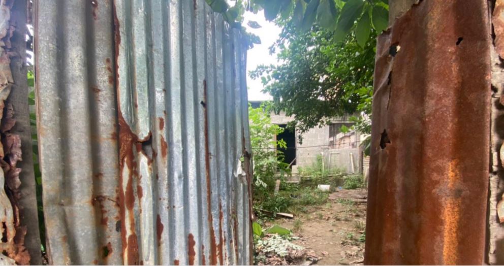 Imagen de cuerpo de nota