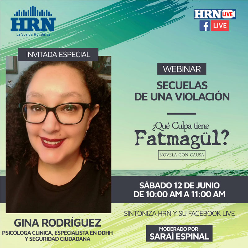 Webinar HRN: Secuelas de una violación