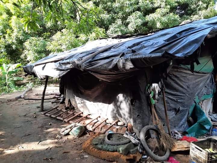 Imagen de cuerpo de nota