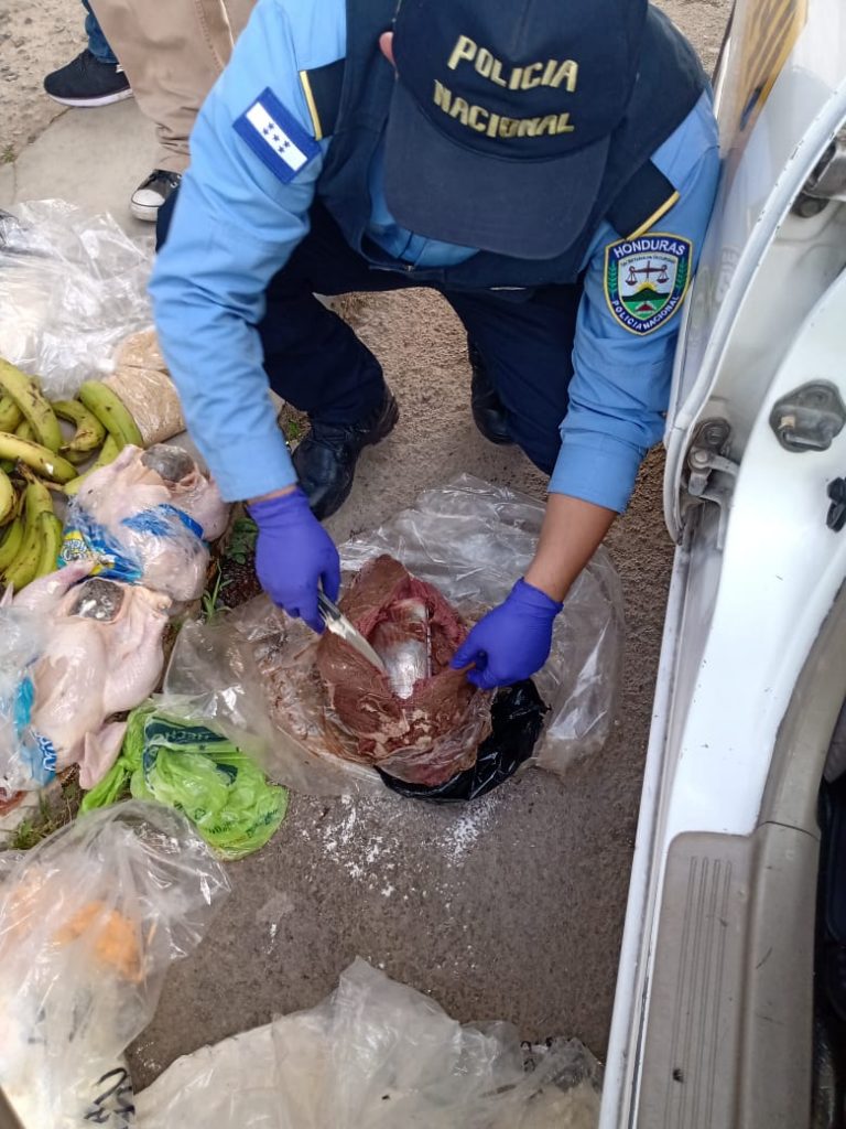 Imagen de cuerpo de nota