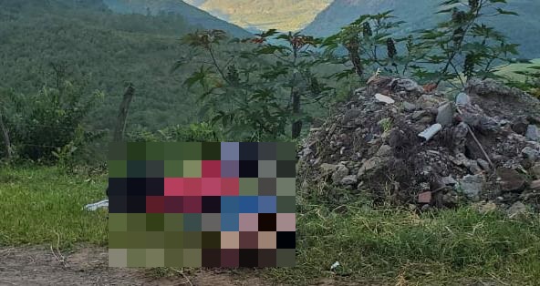 Imagen de cuerpo de nota