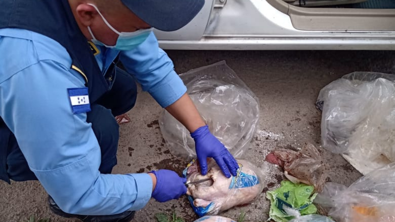 En pollos y carne pretendían enviar droga y celulares a privadas de libertad en Honduras