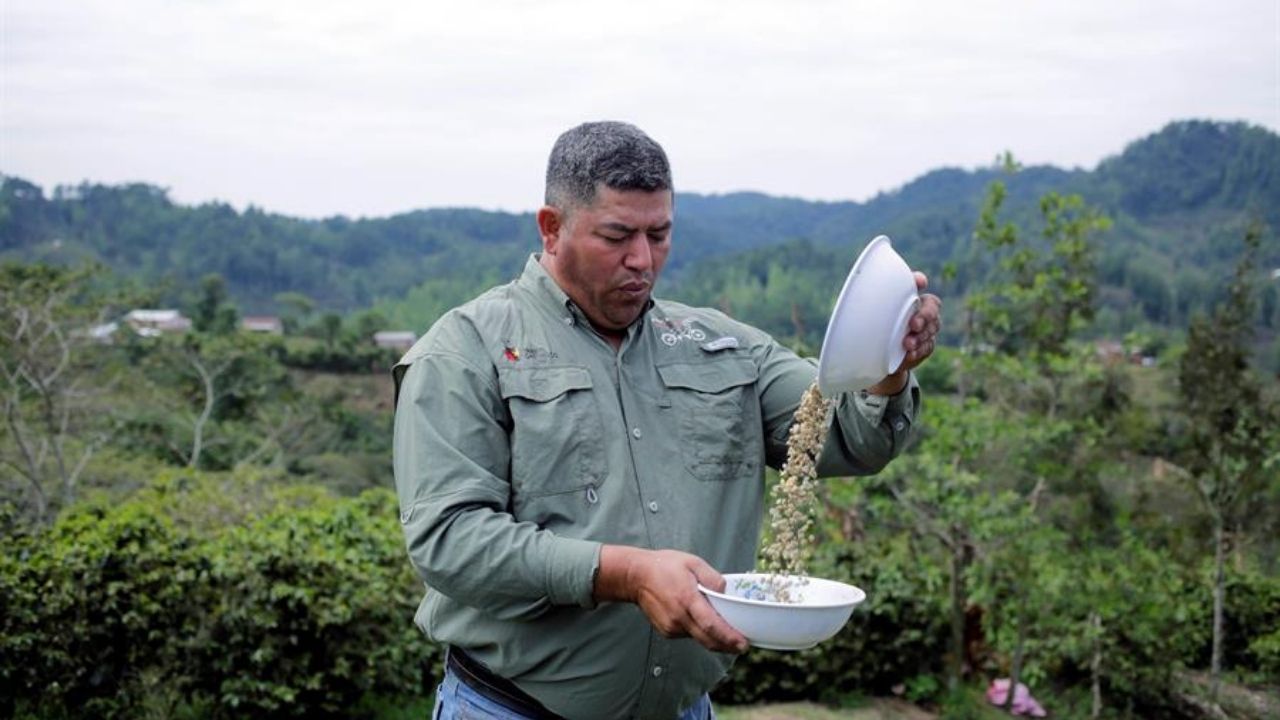En los primeros 5 meses de 2021, Honduras reporta alza en las exportaciones e importaciones