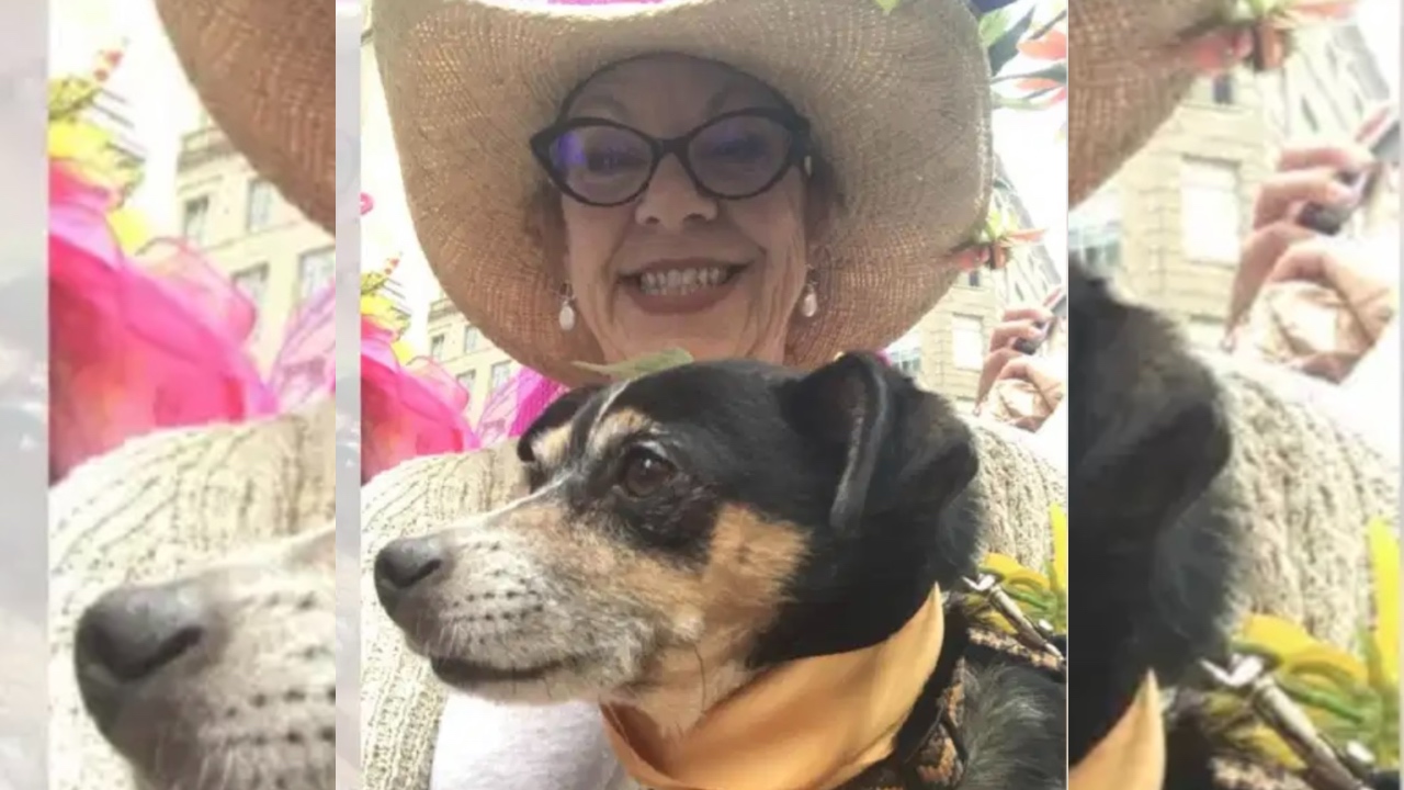 Mujer se lanzó de un rascacielos junto a su perro y esto fue lo que escribió en un avión de papel