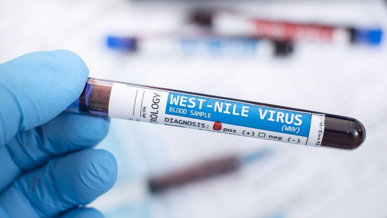 ¿Cómo se transmite el virus del Nilo Occidental que ya cobró su primera víctima en California?