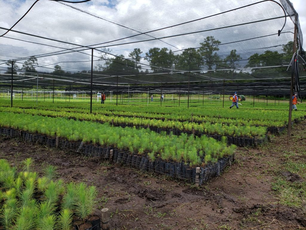 Imagen de cuerpo de nota