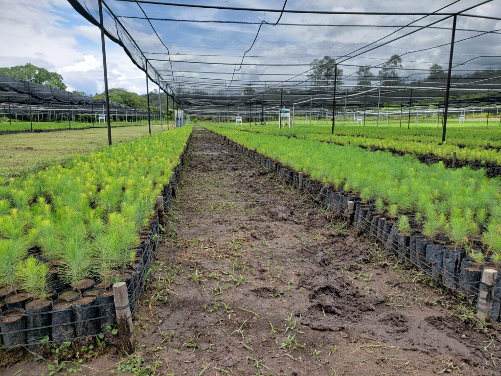 Imagen de cuerpo de nota