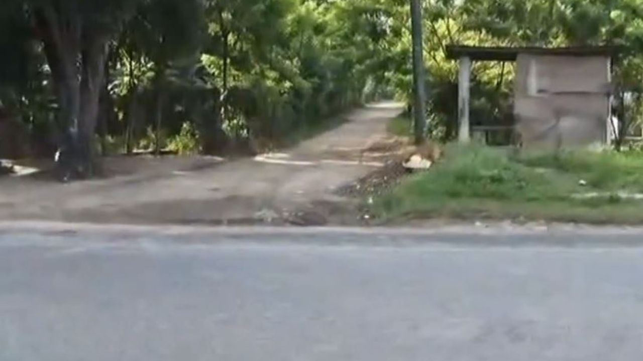 Imagen de Hondureña entra en pánico al encontrar una cabeza humana en una caseta en El Progreso, Yoro