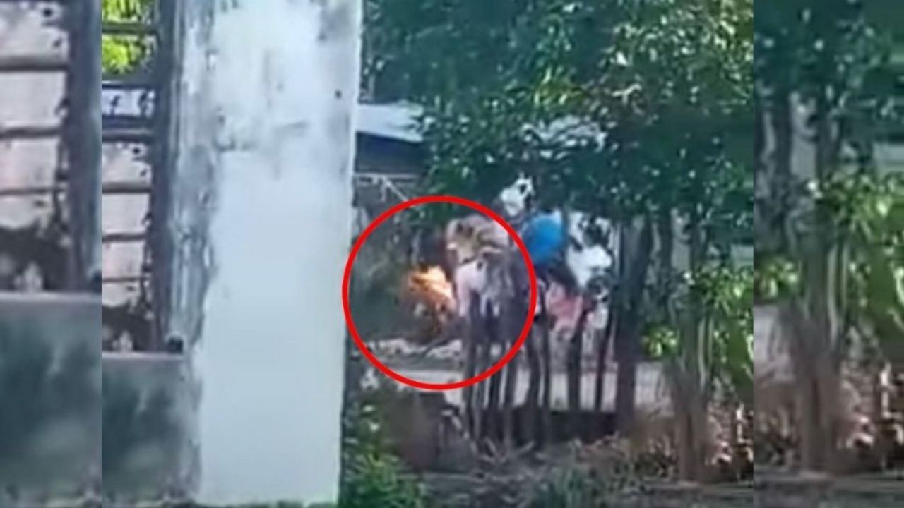 Impactante vídeo de cómo una abuela quema con antorcha a su nieto como una forma de castigo