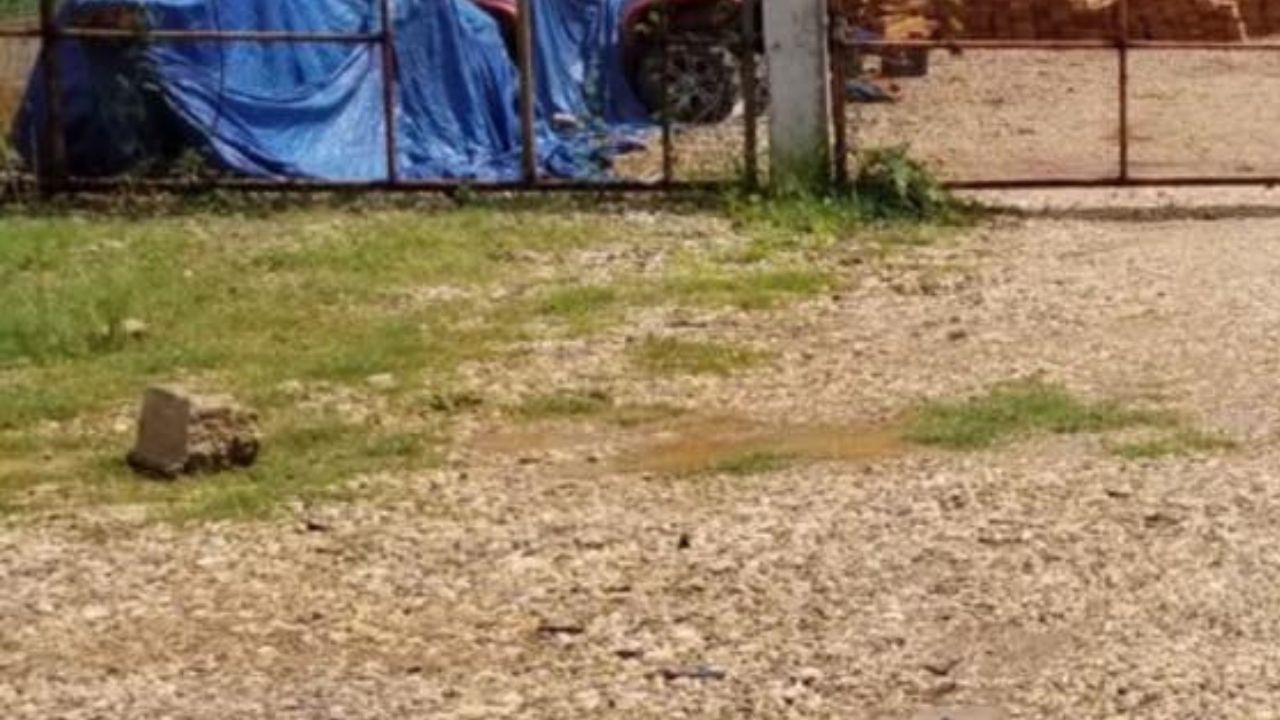 Imagen de Vídeo muestra cómo matan a una pareja en Olancho; sicarios vestían como agentes de Lucha contra el Narcotráfico