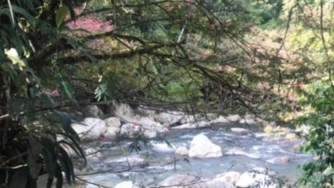 Joven murió ahogado en río por salvar a su hermano en Colombia