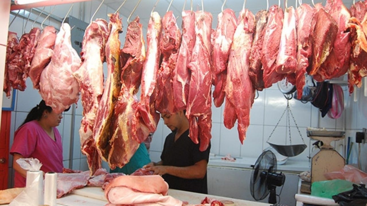 Honduras es libre de peste porcina africana, pero se mantienen medidas de prevención, dice Senasa