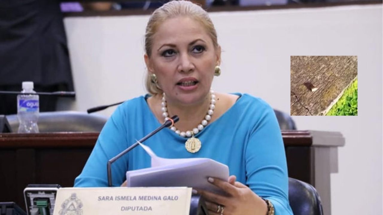 Diputada Sara Medina rompió en llanto al contar cómo sicarios dispararon a su casa