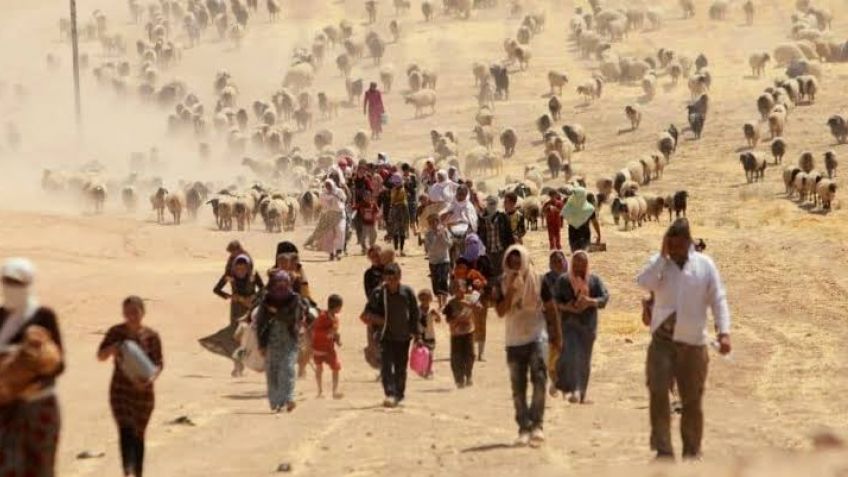 Imagen de cuerpo de nota