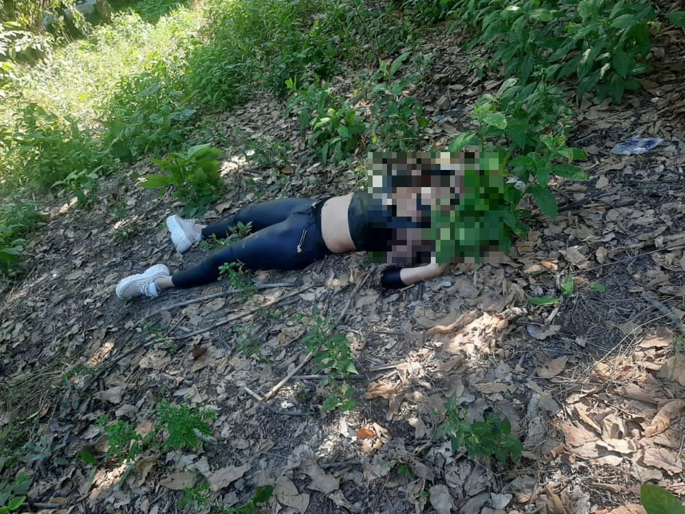 Imagen de cuerpo de nota