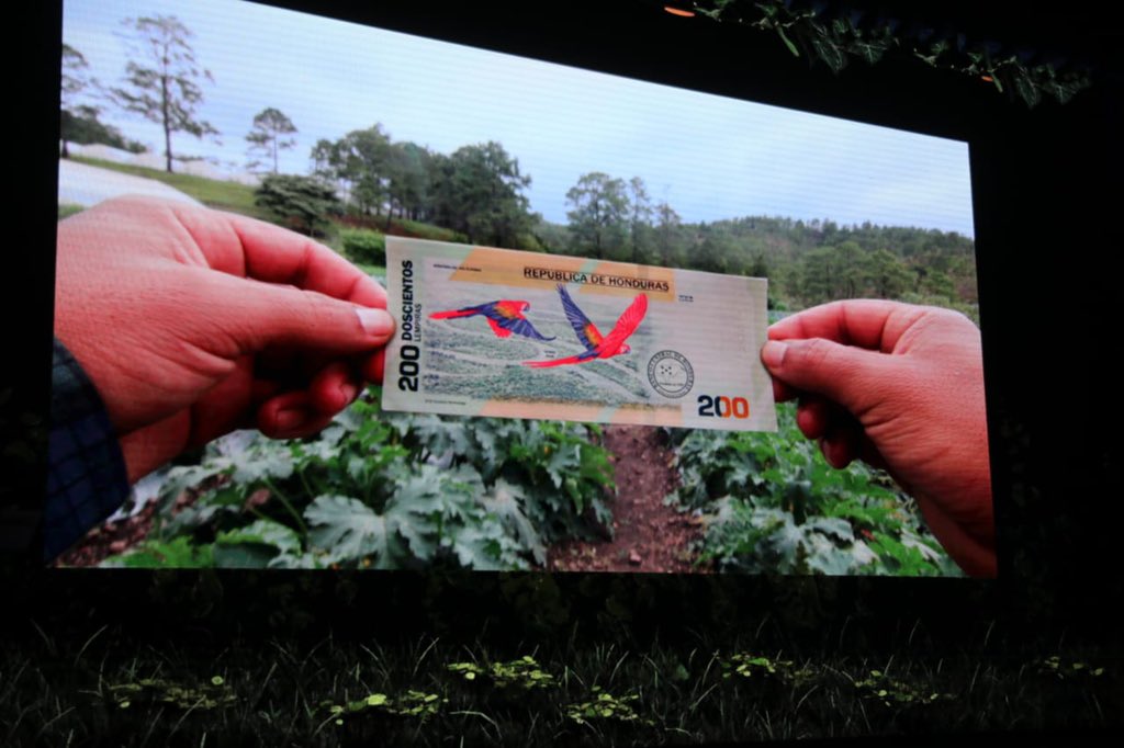 Imagen de cuerpo de nota