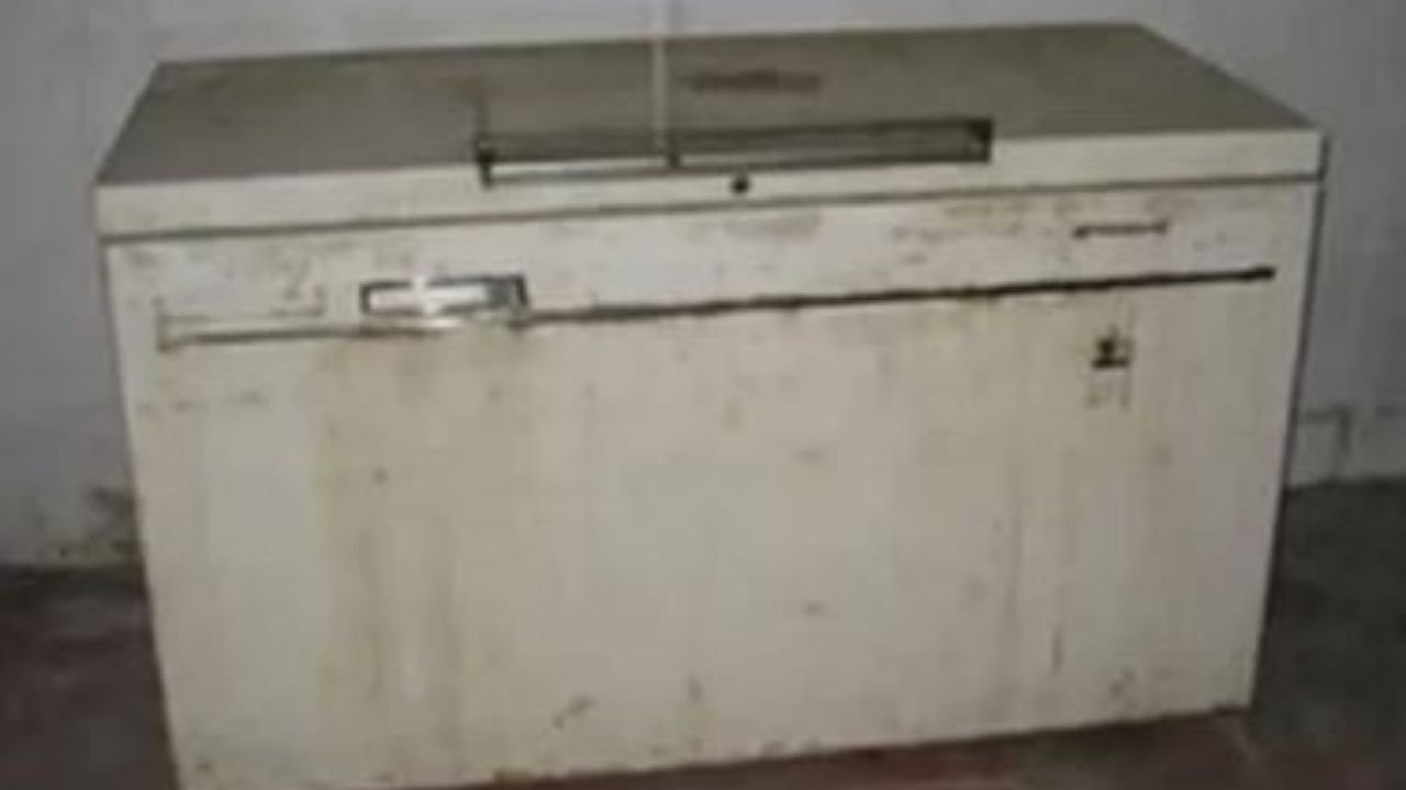 Dentro del congelador de su casa, encuentran cuerpo de una mujer de 87 años, esta es la historia