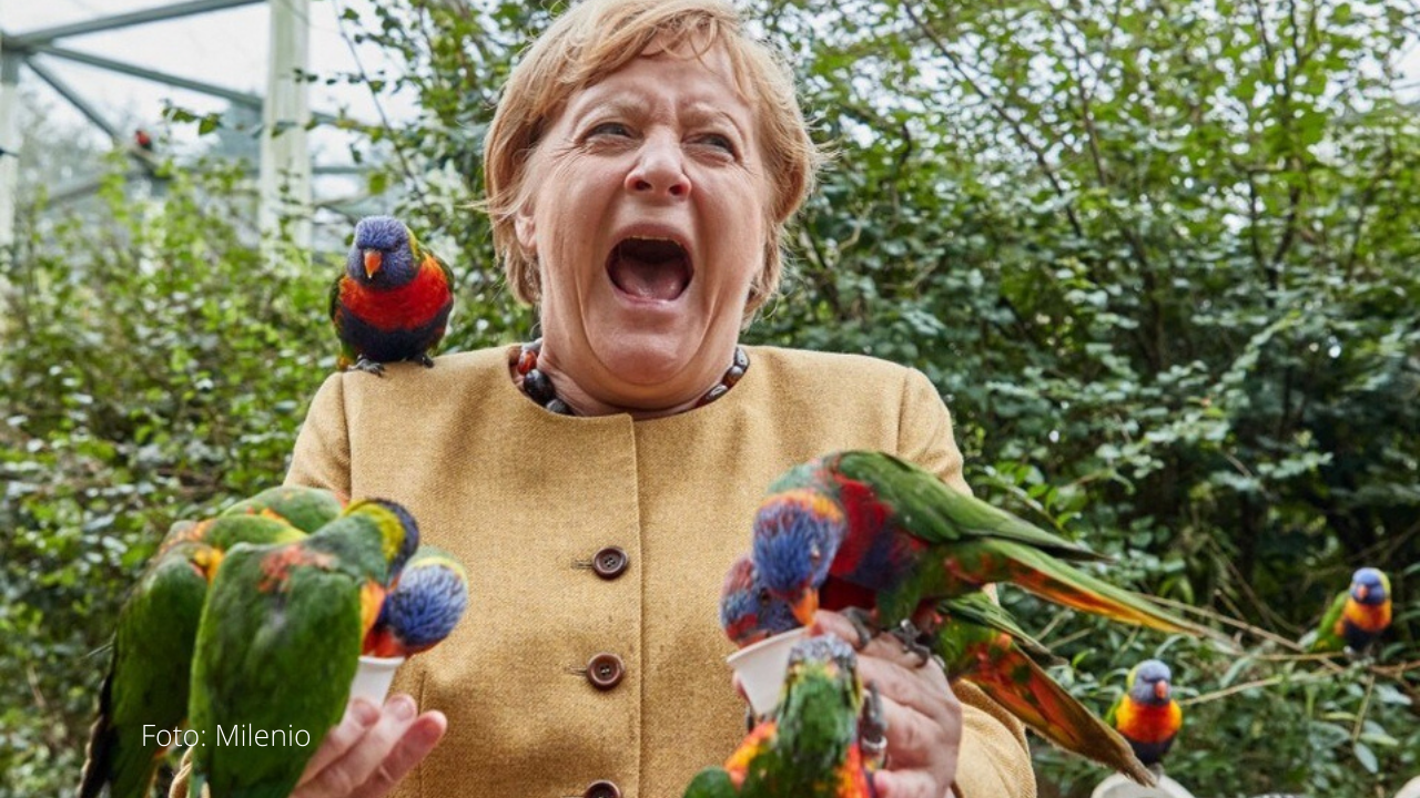 Angela Merkel es picoteada por un loro y la foto se vuelve viral