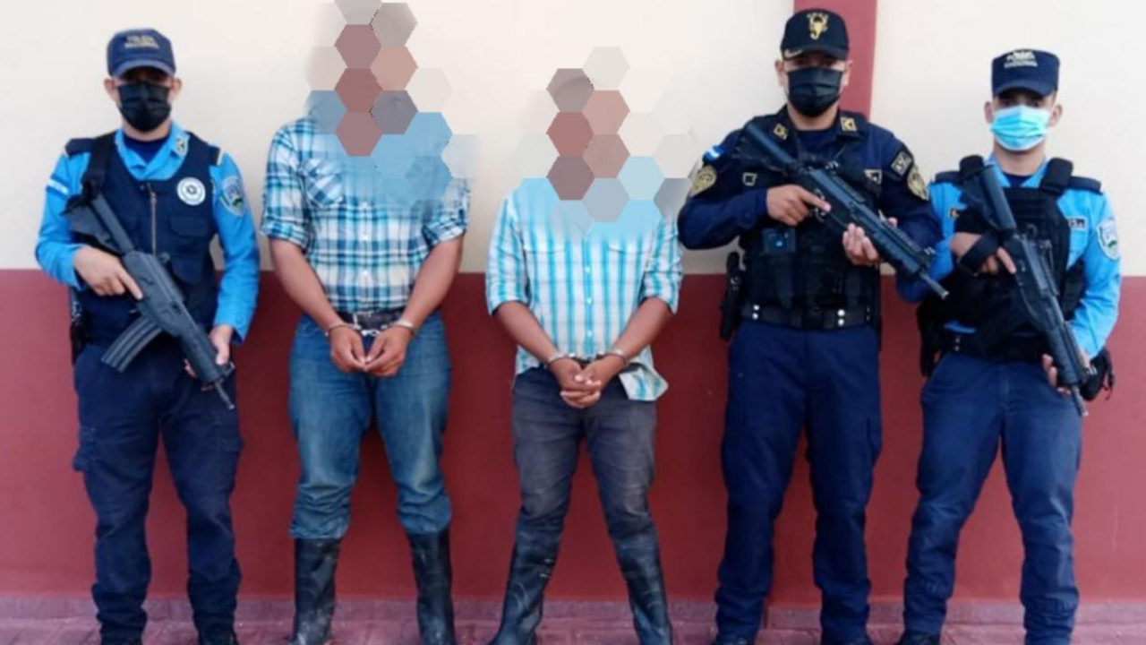 Capturan a dos sujetos en posesión de 28 cabezas de ganado valoradas en más de 269 mil lempiras