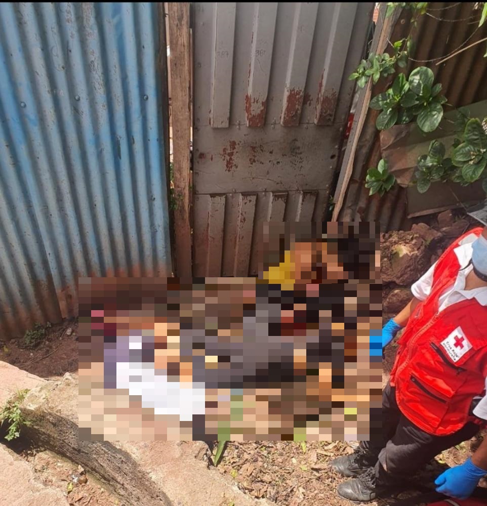 Imagen de cuerpo de nota