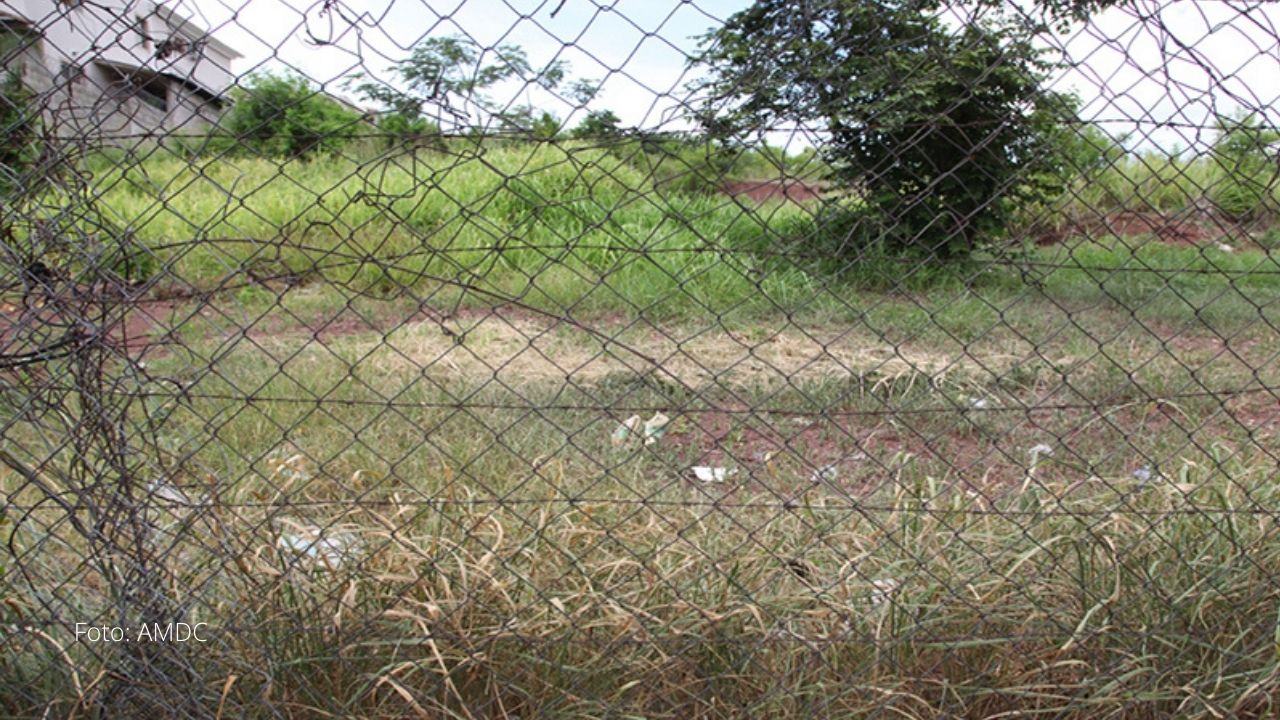 Conoce la multa que pagarán los dueños de terrenos abandonados en el Distrito Central
