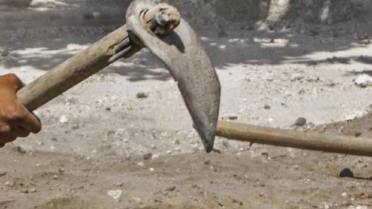 Contrató a sicarios para que mataran a su hermana por pleito de herencia; este error la delató