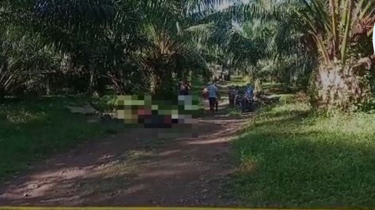 Nueva masacre: Torturan y asesinan a tres hondureños en Colón