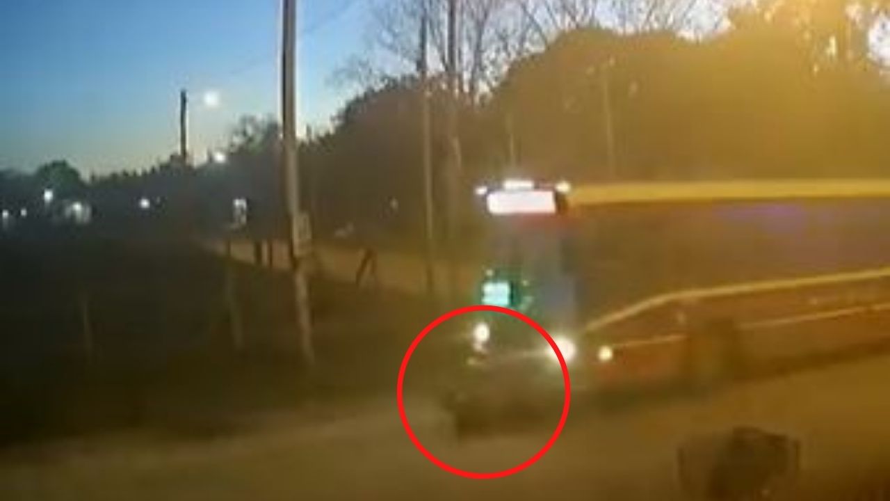 Imágenes fuertes: Mujer corrió a tomar el bus, pero el conductor no la miró y murió atropellada