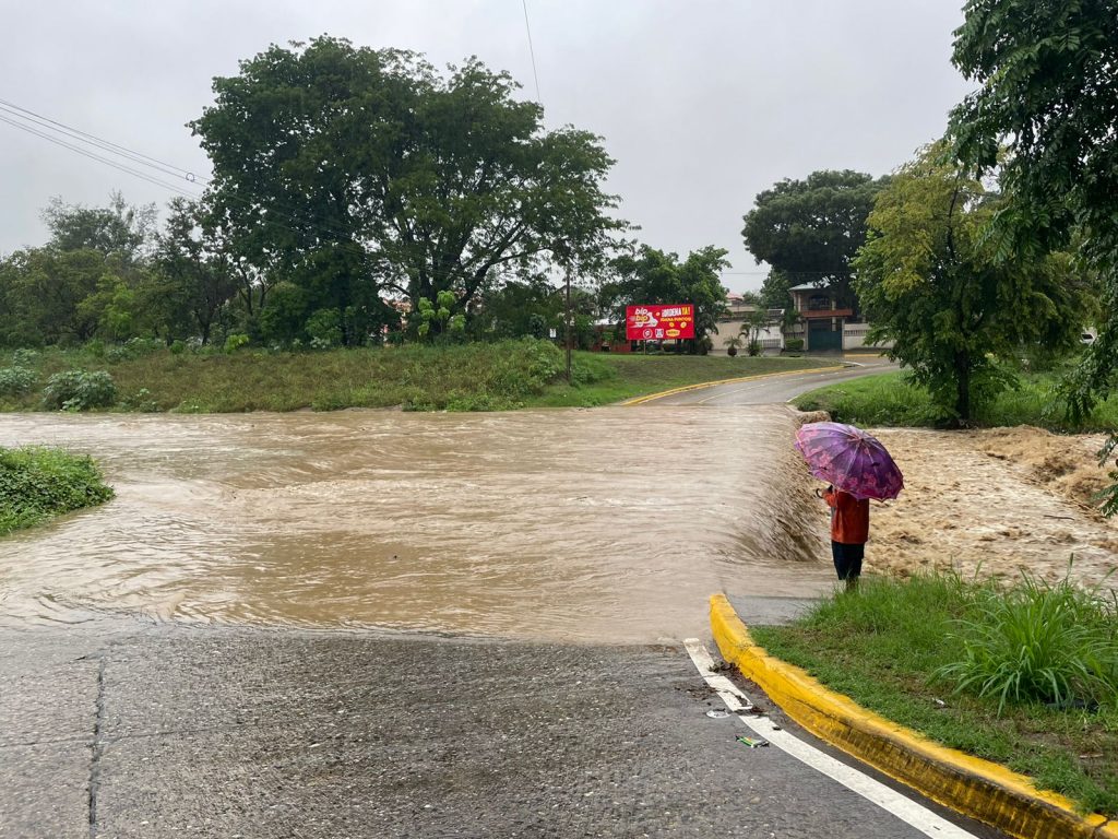 Imagen de cuerpo de nota