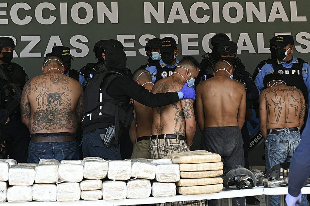 Imagen de cuerpo de nota