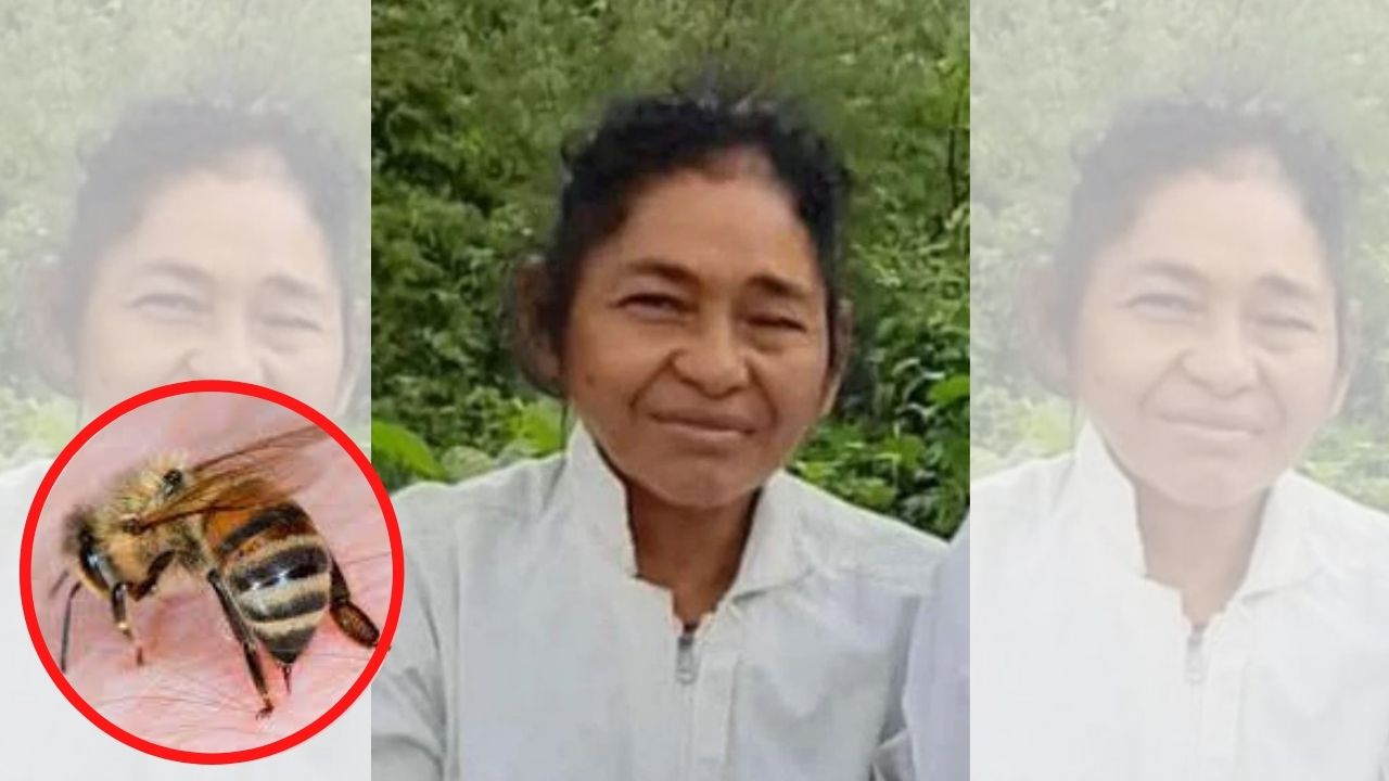 Muere ingeniera de la UNAG tras ser atacada por un enjambre de abejas en Olancho