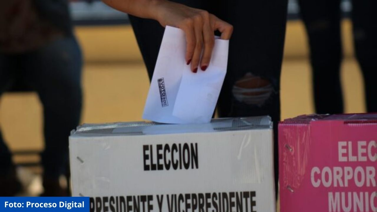 Imagen de Voto masivo evitará el fraude electoral, según el director del Instituto Holandés para la Democracia, Luis León