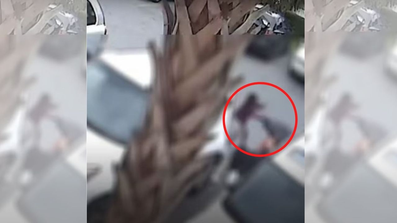 Niña de 9 años ataca a puñetazos a ladrón para proteger a su madre y así reaccionó la Policía