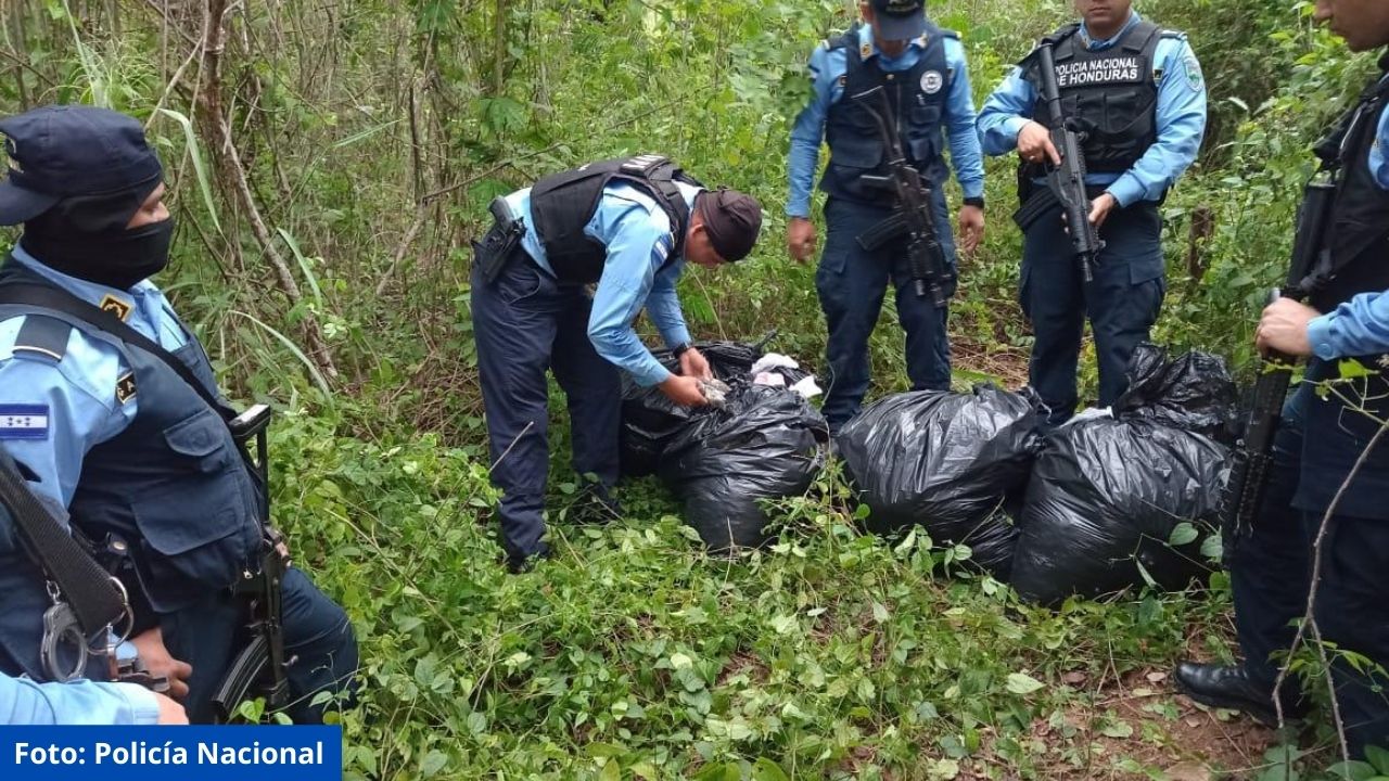 Imagen de Encuentran más de 2 mil paquetes de supuesta droga escondidos en zona montañosa de SPS