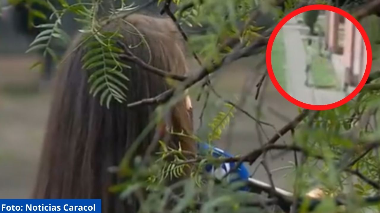 Imagen de Desgarrador testimonio de una mujer en Colombia que fue agredida por su expareja frente a su hijo