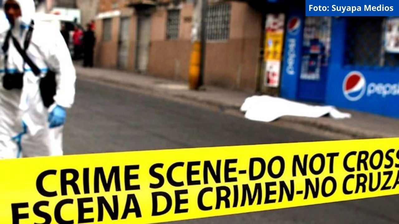 Imagen de MOE UE llamó a evitar la violencia política a 12 días de las elecciones generales del 28-N