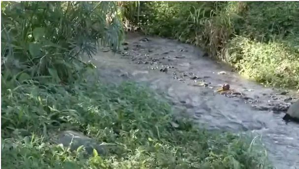 Imagen de cuerpo de nota