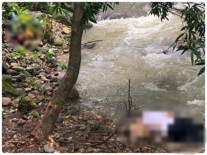 Imagen de cuerpo de nota