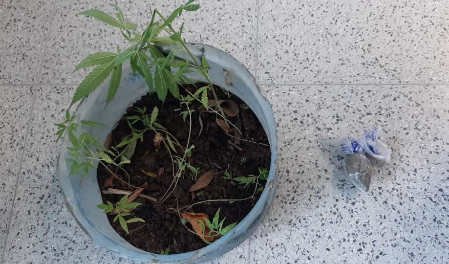 Imagen de cuerpo de nota